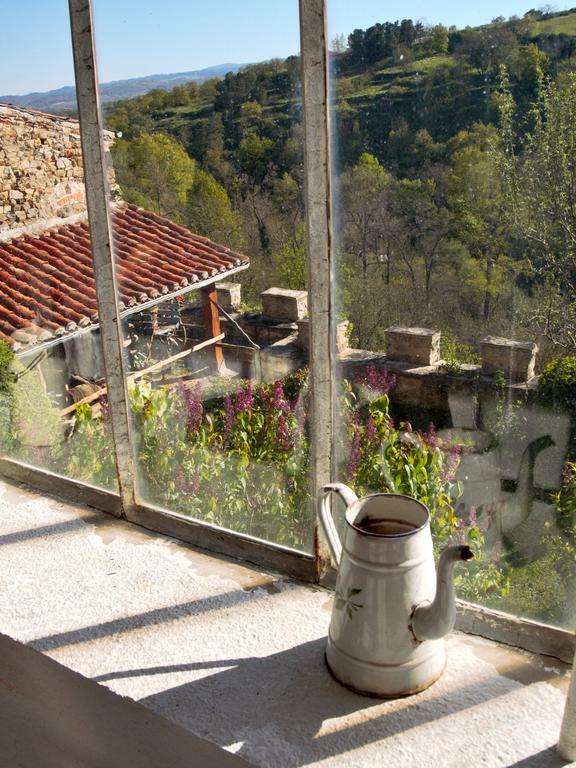Ermitage Saint Vincent B&B Vieille-Brioude Exterior foto
